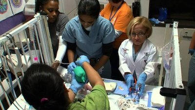 The Little Couple Season 4 Episode 19