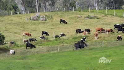 Hawaii Life Season 13 Episode 1