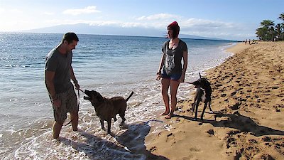 Hawaii Life Season 8 Episode 12