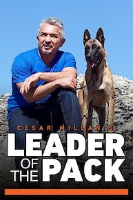 Cesar Millan's Leader of the Pack