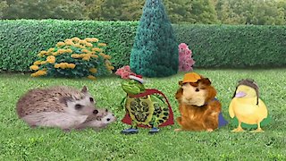 Watch Wonder Pets Season 1 Episode 13 - Save The Hedgehog Save The 