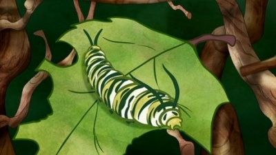 Guess How Much I Love You Season 2 Episode 27