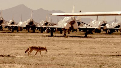 Life After People: The Series Season 1 Episode 8