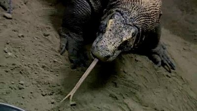 Popular Mechanics for Kids Season 3 Episode 17