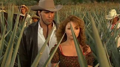 Destilando Amor Season 1 Episode 91