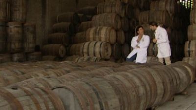 Destilando Amor Season 1 Episode 104