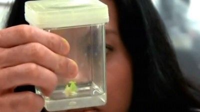 Bang Goes The Theory Season 4 Episode 6