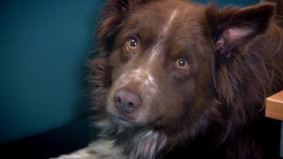 Bang Goes The Theory Season 6 Episode 8