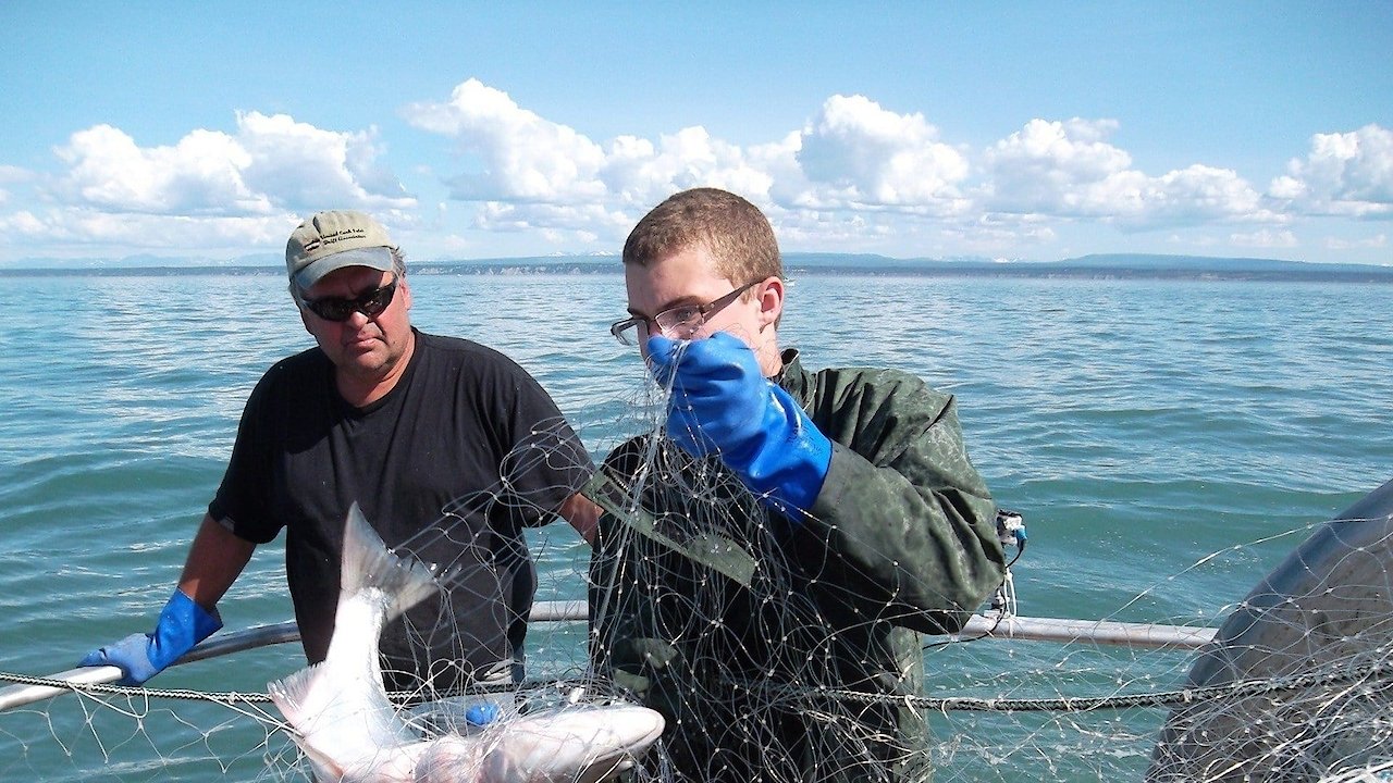 Alaska Fish Wars
