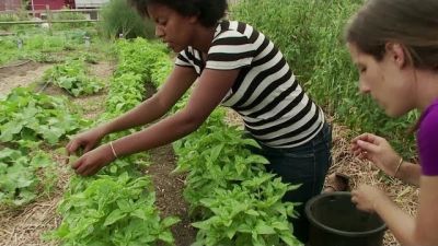 Bizarre Foods Season 9 Episode 1