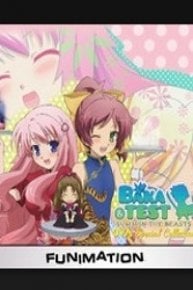 Baka & Test: Summon the Beasts, OVA Collection