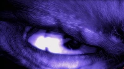 En Busca de Monstruos Season 2 Episode 2