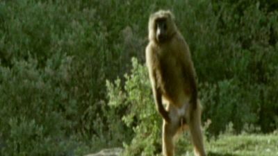 En Busca de Monstruos Season 2 Episode 4