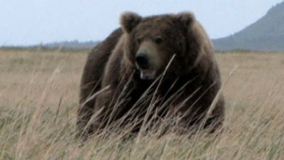 En Busca de Monstruos Season 2 Episode 5