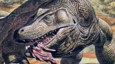 En Busca de Monstruos Season 2 Episode 19