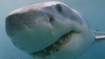 En Busca de Monstruos Season 3 Episode 7