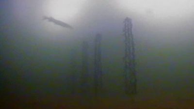 En Busca de Monstruos Season 3 Episode 12