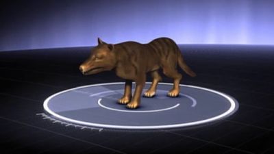 En Busca de Monstruos Season 3 Episode 13