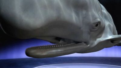 En Busca de Monstruos Season 3 Episode 24