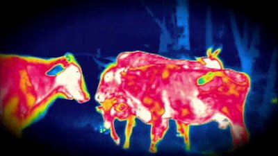 Night Season 1 Episode 4