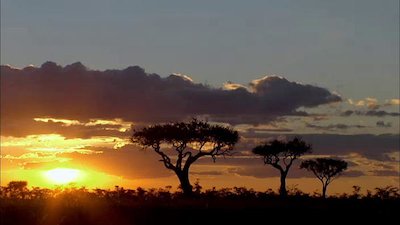 Night Season 1 Episode 7