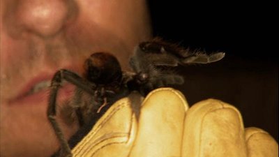 Night Season 1 Episode 13