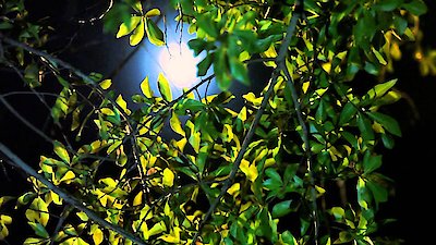 Snapped Season 10 Episode 16