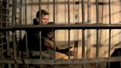 Escape to Chimp Eden Season 1 Episode 2