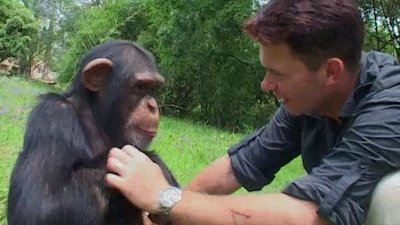 Escape to Chimp Eden Season 1 Episode 10