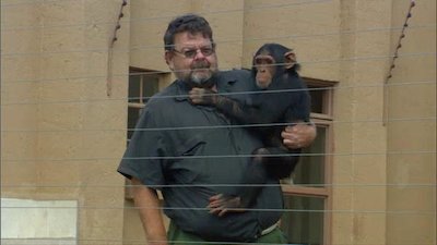 Escape to Chimp Eden Season 1 Episode 11
