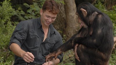 Escape to Chimp Eden Season 2 Episode 6
