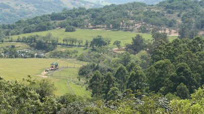 Escape to Chimp Eden Season 2 Episode 11