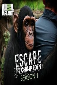 Escape to Chimp Eden