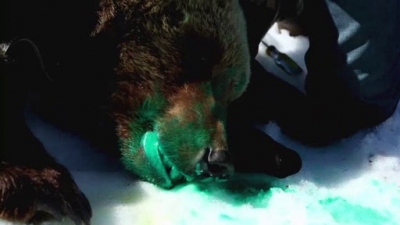 Ocean Mysteries Season 2 Episode 13