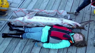 Ocean Mysteries Season 2 Episode 11