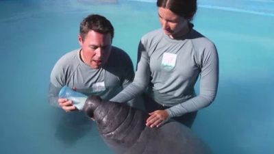 Ocean Mysteries Season 2 Episode 17