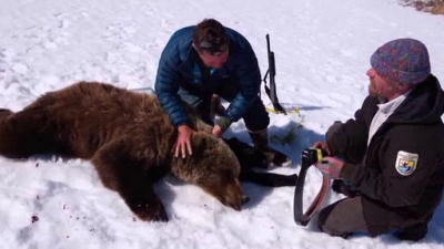 Ocean Mysteries Season 2 Episode 16