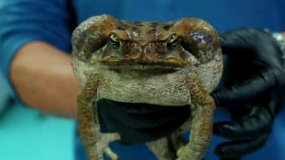 Ocean Mysteries Season 2 Episode 26