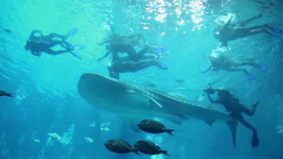 Ocean Mysteries Season 2 Episode 24