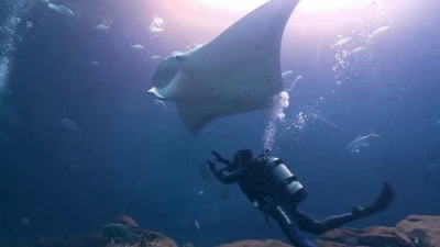 Ocean Mysteries Season 1 Episode 1