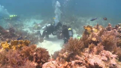 Ocean Mysteries Season 1 Episode 6