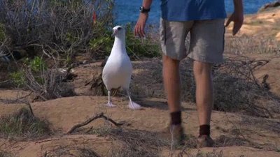 Ocean Mysteries Season 1 Episode 21