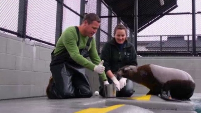 Ocean Mysteries Season 1 Episode 19