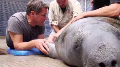 Ocean Mysteries Season 1 Episode 16