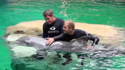 Ocean Mysteries Season 1 Episode 13