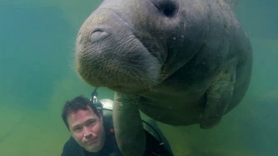 Ocean Mysteries Season 1 Episode 14