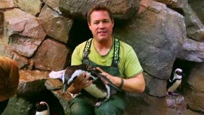 Ocean Mysteries Season 3 Episode 4