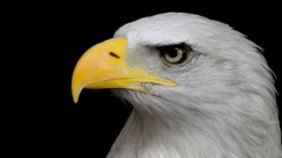 Ocean Mysteries Season 3 Episode 3