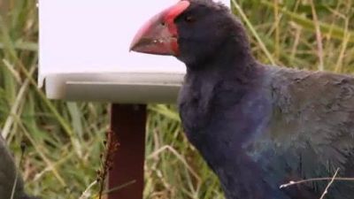 Ocean Mysteries Season 3 Episode 2