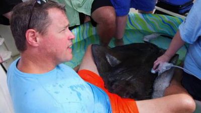 Ocean Mysteries Season 3 Episode 6